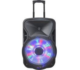 Party Sound and Light 15"LED Portable Speaker System
